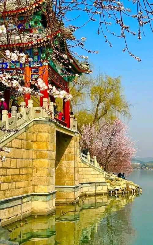 任学路12首诗作 王丽娜倾情诵读（图7）