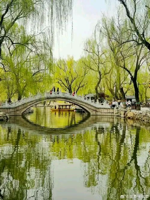 任学路12首诗作 王丽娜倾情诵读（图8）