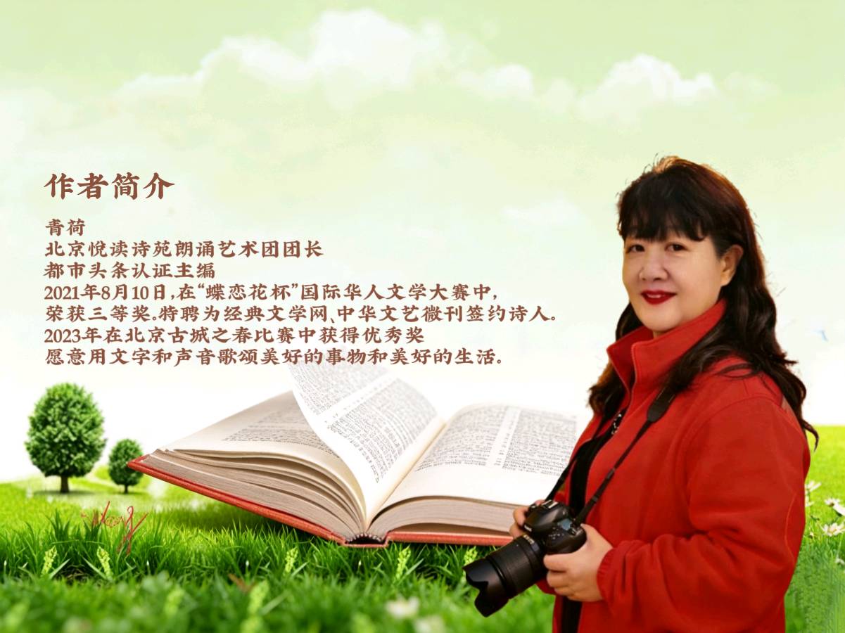 北京悦读诗苑朗诵艺术诗人一米阳光专刊（图3）