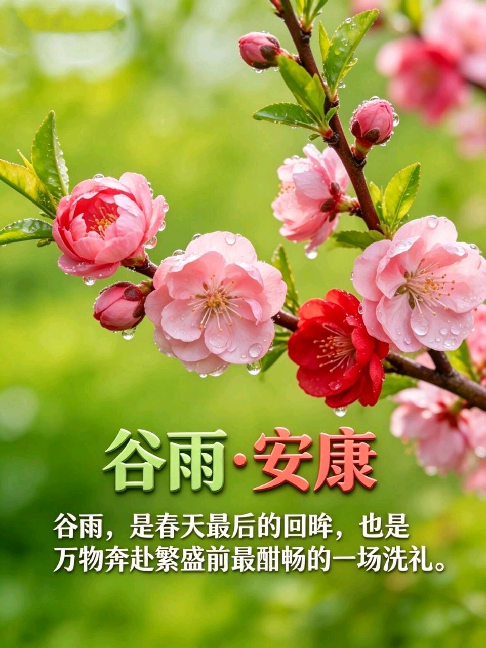 七律-谷雨（外一首）吴君明（云南）（图11）