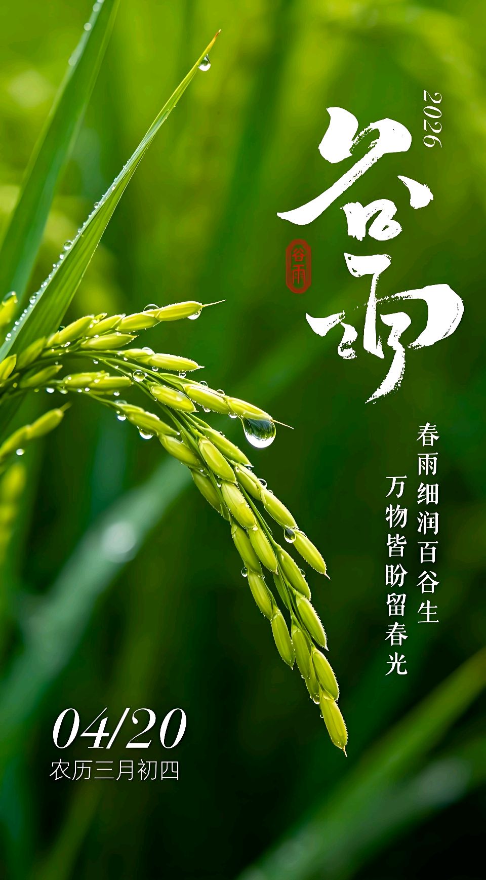 七律-谷雨（外一首）吴君明（云南）（图10）