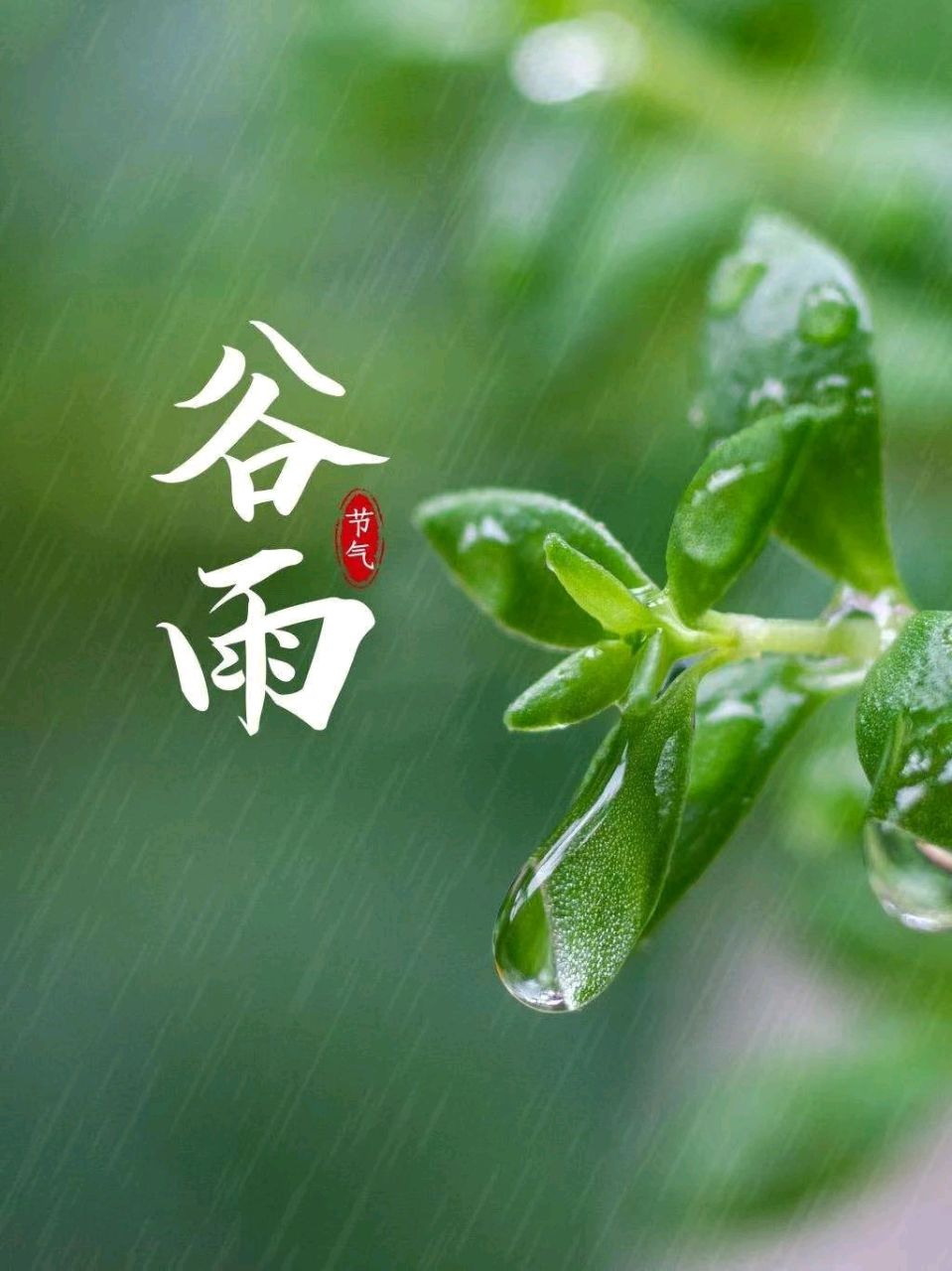 【荣耀中国】文学社*谷雨作者/杨洋（诗意人生）江苏宿迁（图4）
