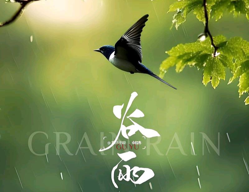 【散文】《雨生百谷，春尽芳华》作者: 强军/陕西宝鸡（图9）