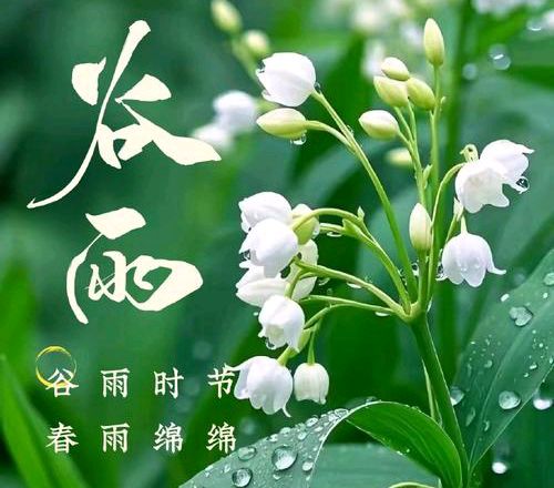 【散文】《雨生百谷，春尽芳华》作者: 强军/陕西宝鸡（图11）