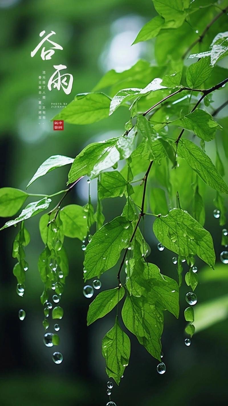 【诗词中国】精品佳作《谷雨是春的眼泪》作者：吴志良（图5）