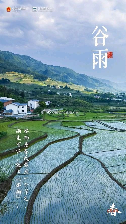 开心诗词文学社 ||《谷雨节抒怀》|| 作者/乡音（湖北）（图10）