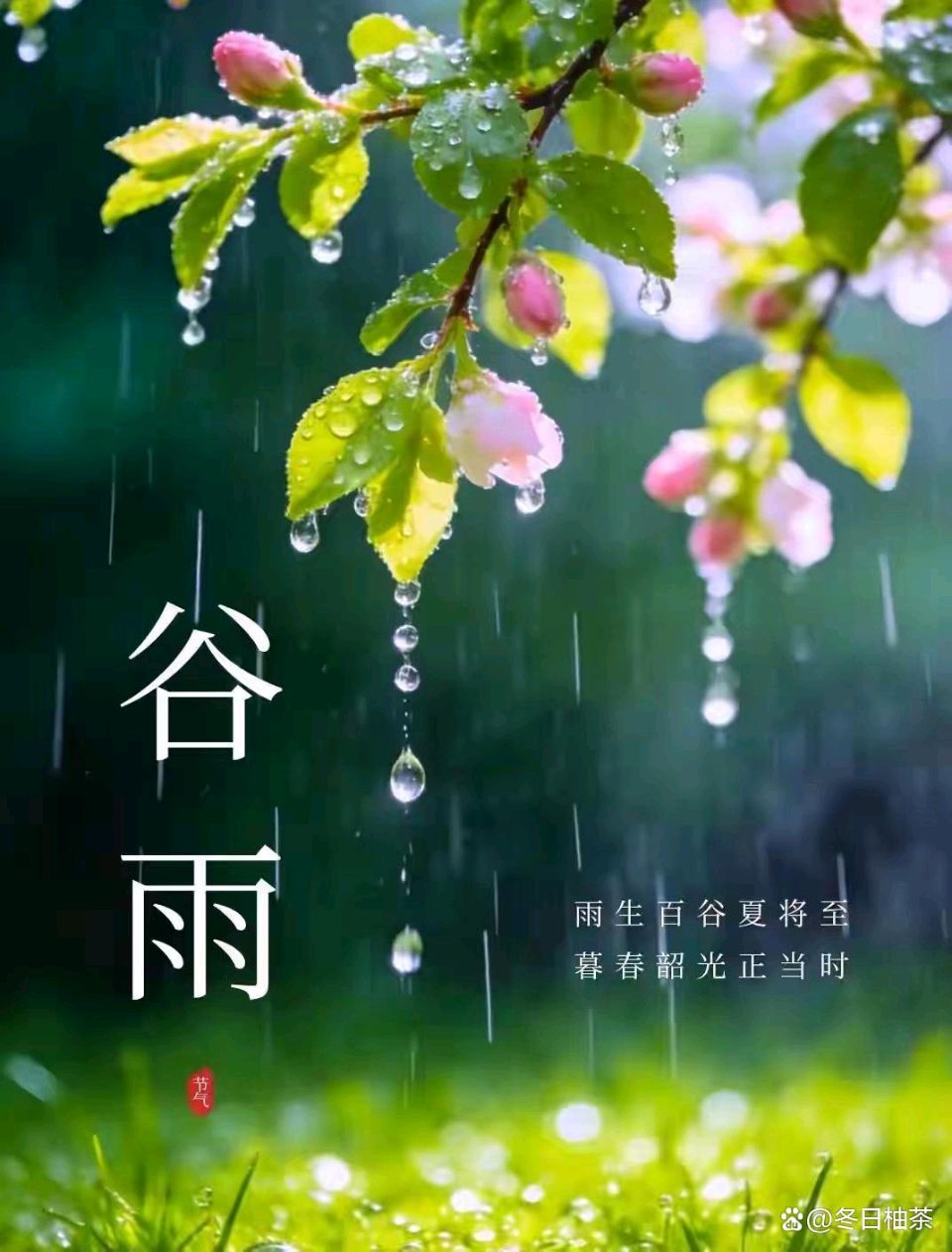 【京华诗词选刊】加刊《谷雨》诗词合刊 请您欣赏(图2)