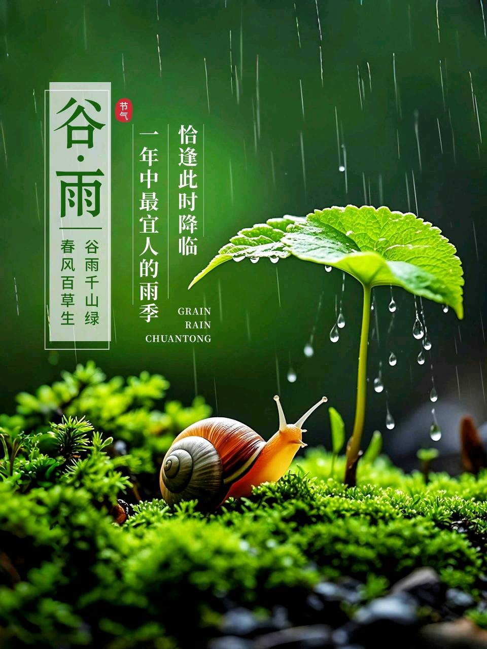 【京华诗词选刊】加刊《谷雨》诗词合刊 请您欣赏(图5)