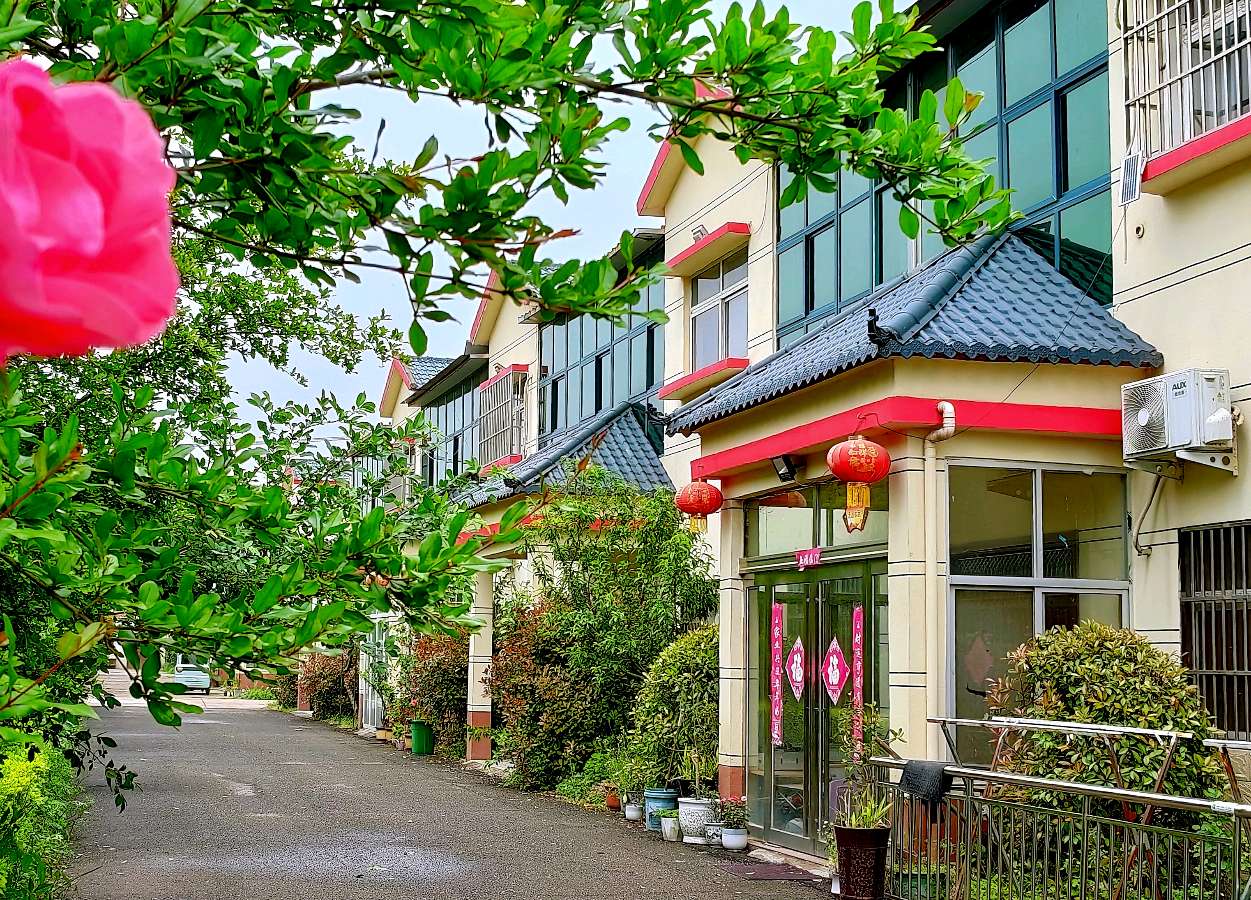 光影邂逅魔术风情 镜头定格振兴画卷——平顶山市摄影家协会采风团走进全国魔术之乡深度采风（图7）