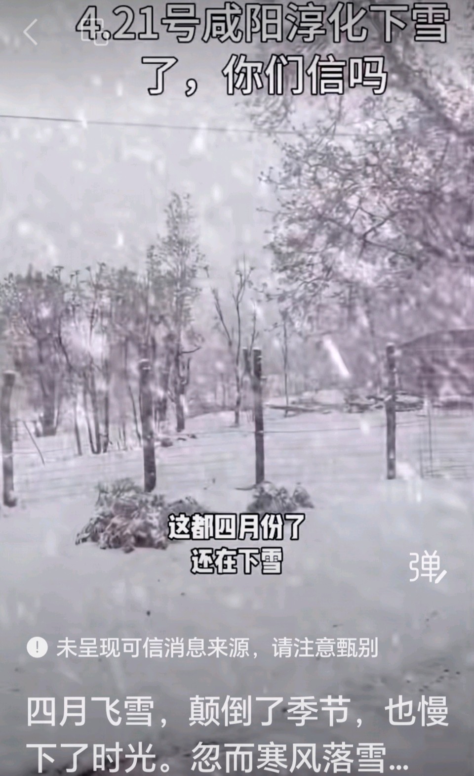 秦地大传//春天孩儿面 一天三变脸：评丙午年四月下旬那场雪