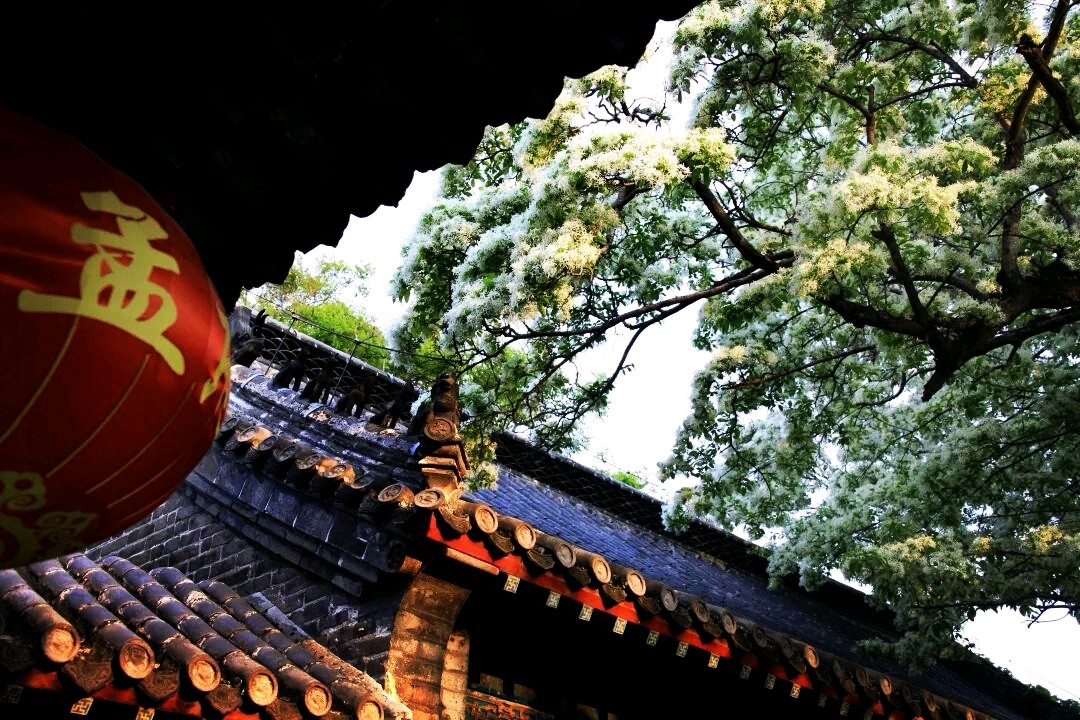 王定功：生命丝语•谒孟府孟庙（图5）