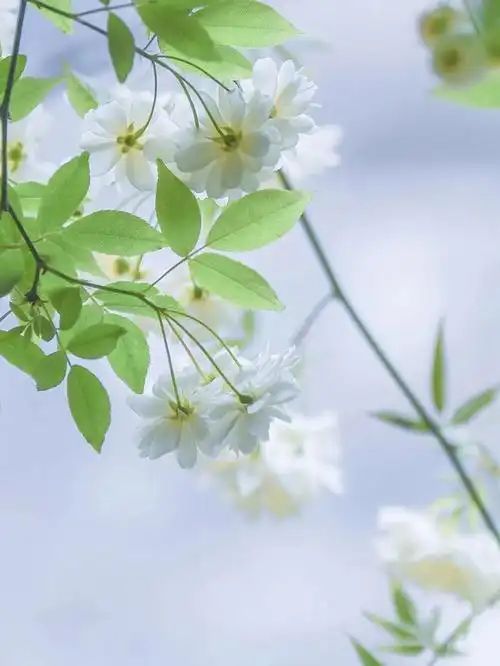 晚春赏景【外一首】 作者:田兴才（图4）