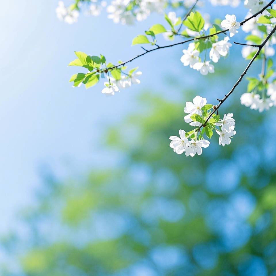 虞美人 • 暮春感怀 作者:胡荣光（图2）