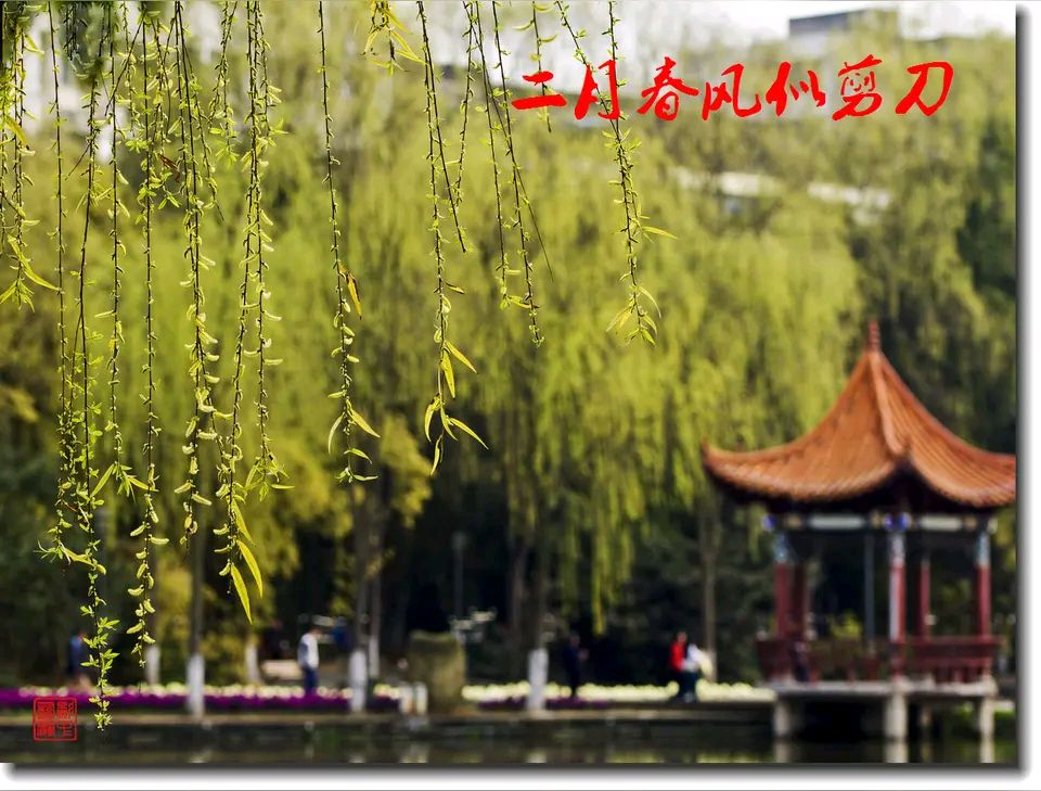 【昊昊海峡新干线副刊】春风起处意绵長/颂花（作者：昊昊/中国台湾）……莲叶之珠文学社（图4）