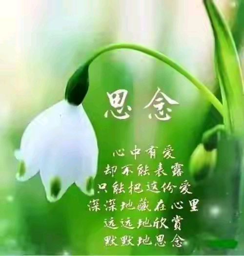 【昊昊海峡新干线副刊】我的妈咪很伟大/我忍不住爱你（作者：昊昊/中国台湾）……莲叶之珠文学社（图6）