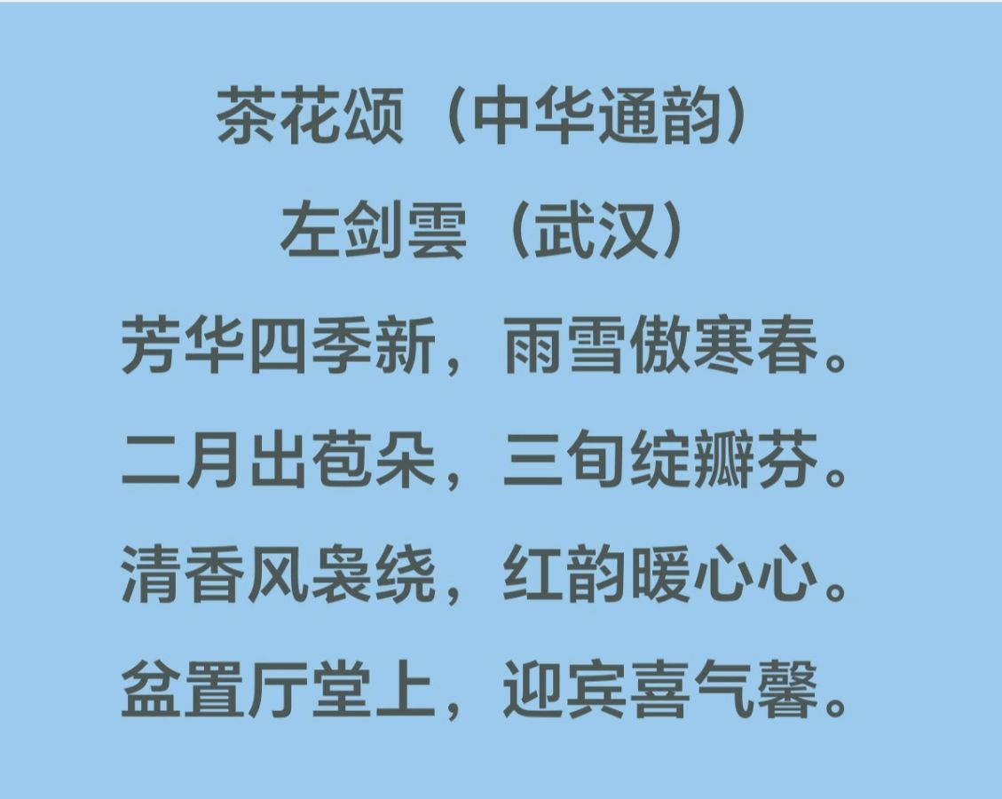 左剑雲诗画作品欣赏！🌹🌹🌹（六）（都市总展36期）（图8）