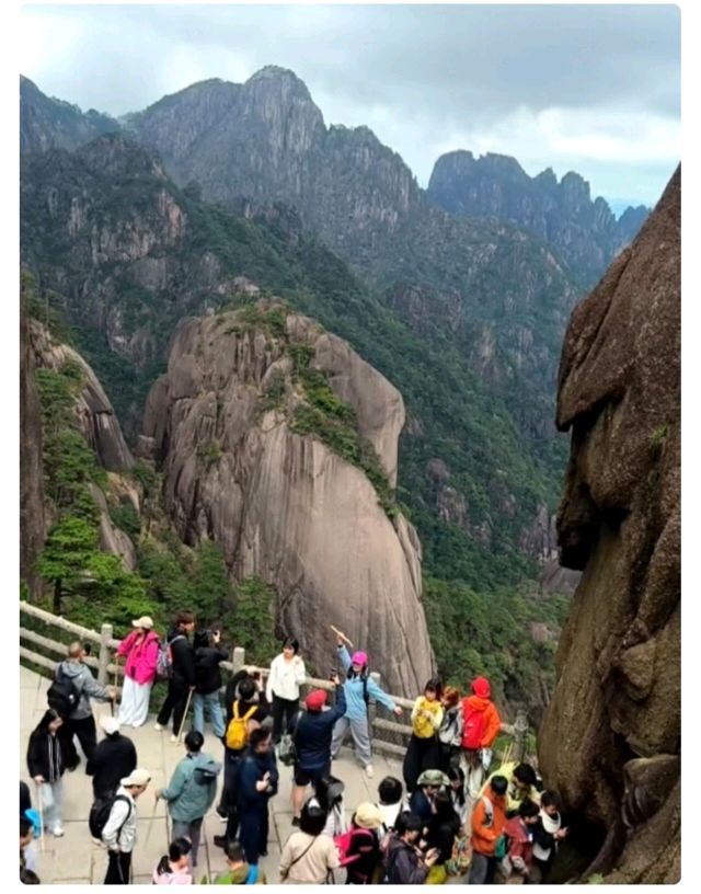 陈翠柳（艳阳天。西河柳）//黄山旅游之六（图11）