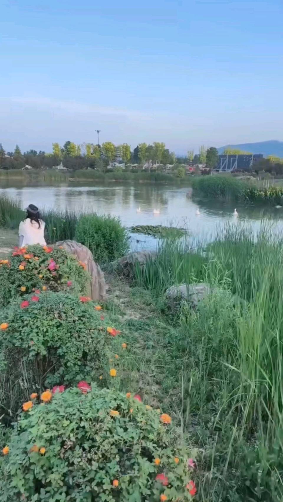 与阿莉踏青伊滨花境园中央公园 原作/梁立锋（图24）