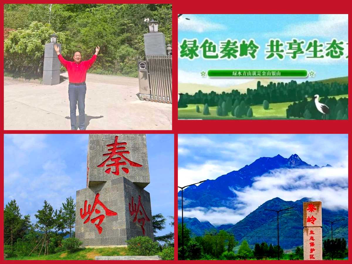【重磅推出】鲁坡//七律•放情山水间+七律•拥抱五月“游秦岭核心保护区”+名言警句系列作品展（图10）