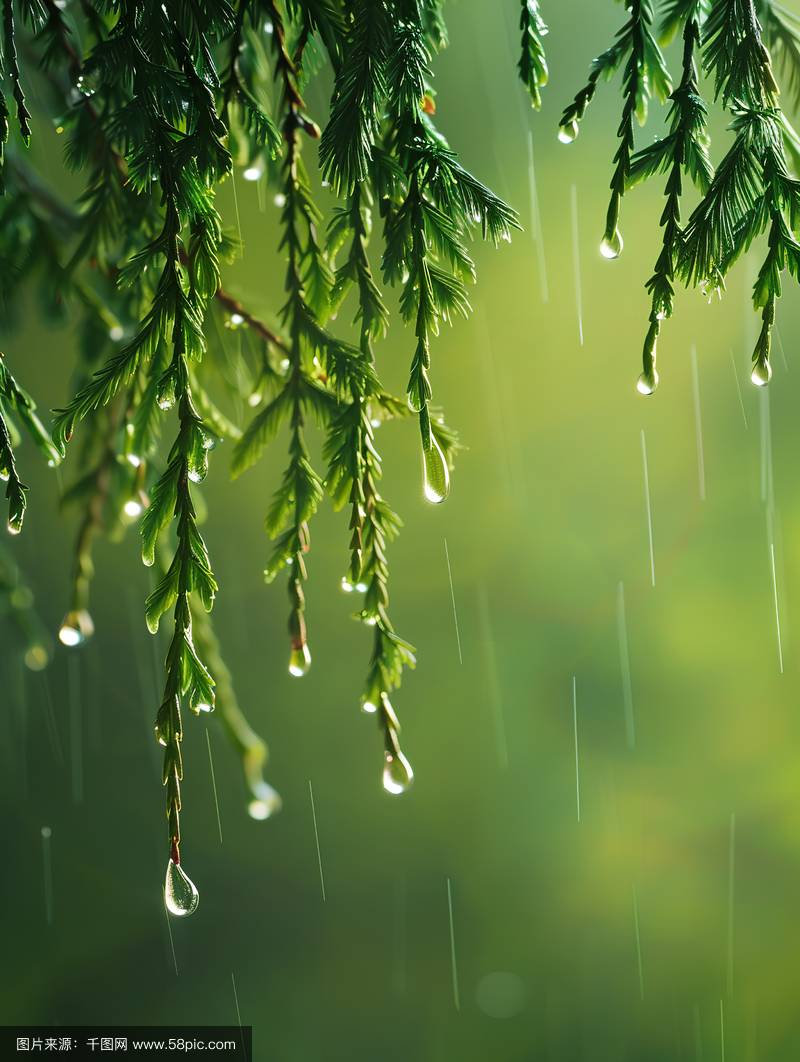 春雨寄怀 作者:周学平（图4）
