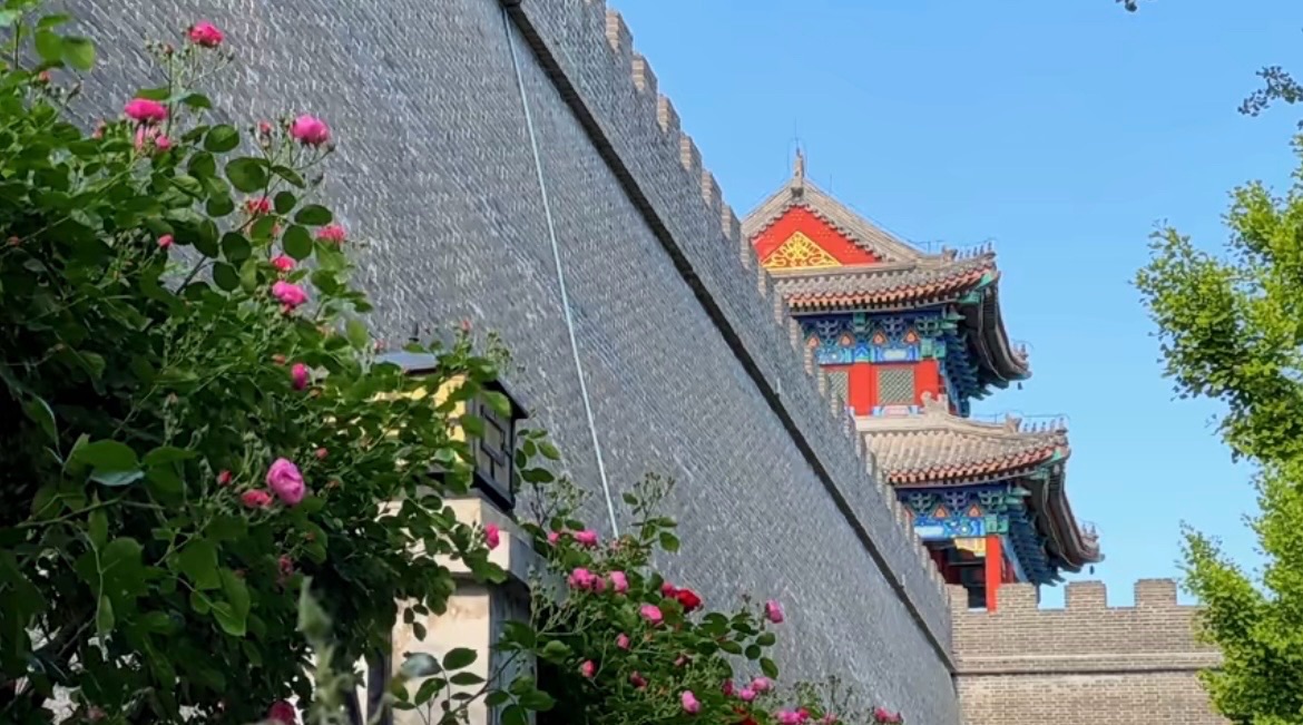 【新诗大观】蔷薇花||文/花惜柔（图3）