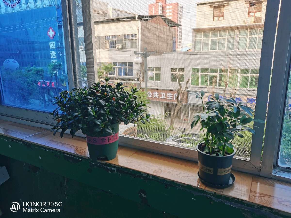 【原创】薛宇星诗词欣赏（三首）（图2）