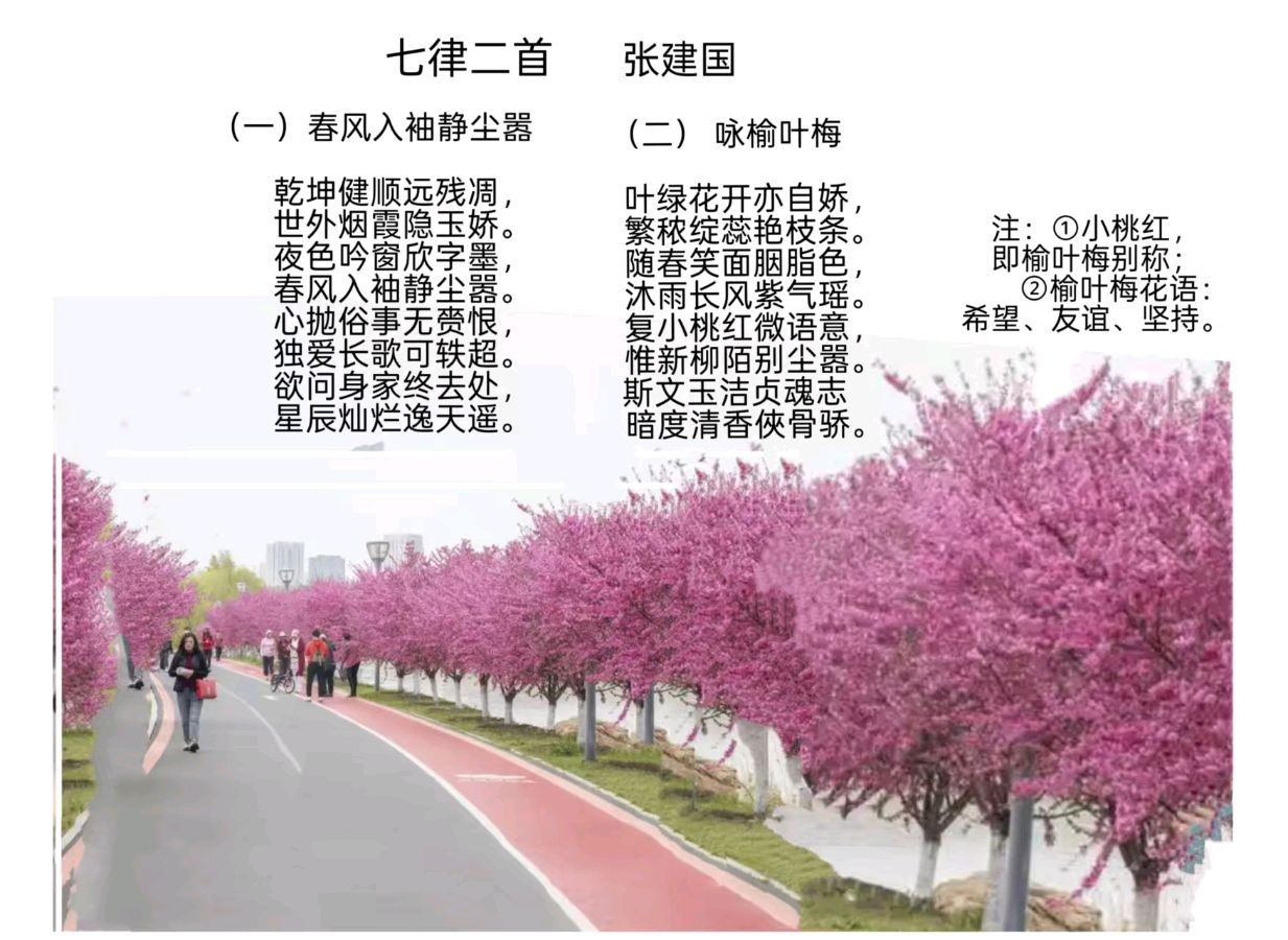 【经典推荐】张建国//七律•春风入袖静尘器+咏榆叶梅（图3）