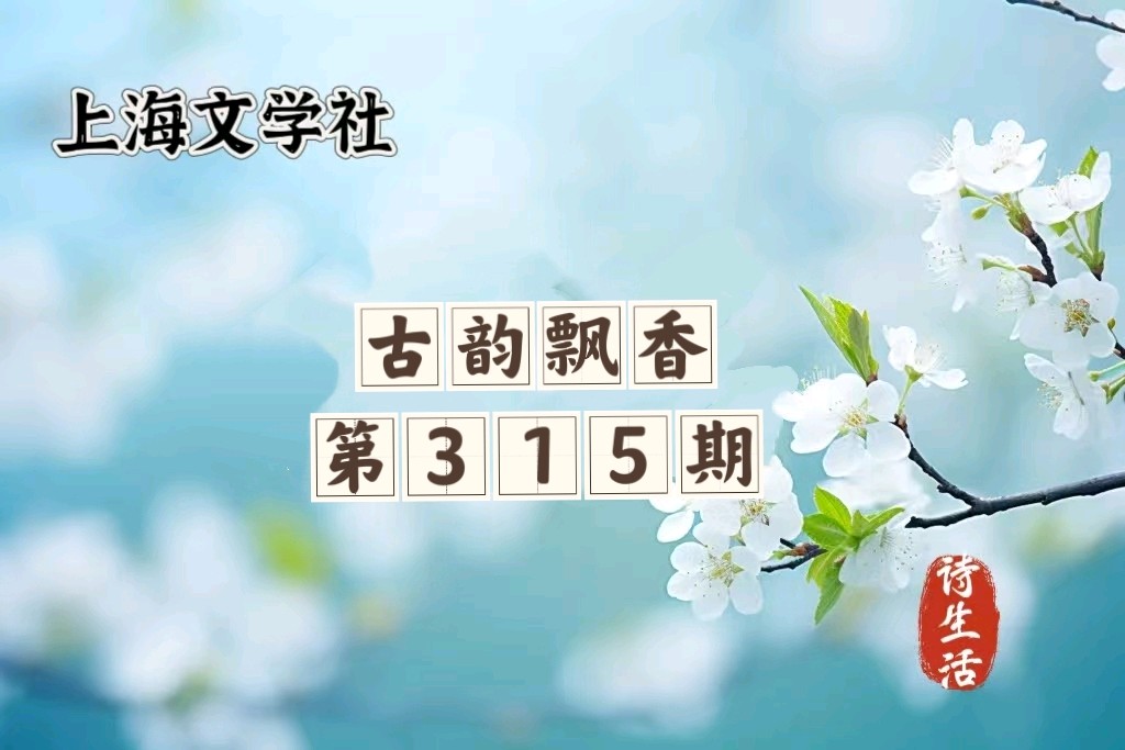 【诗生活】古韵飘香第315期