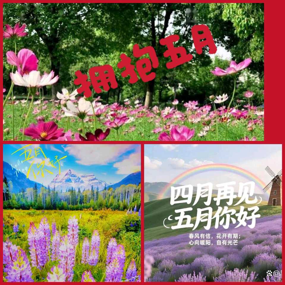 【重磅推出】鲁坡//七律•放情山水间+七律•拥抱五月“游秦岭核心保护区”+名言警句系列作品展（图9）