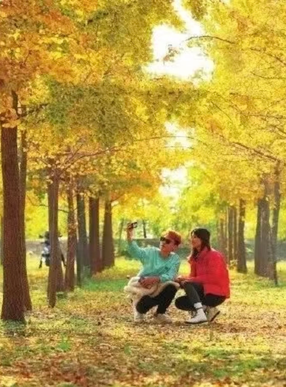 雅萱老师新诗集锦第二十二期_京津沪头条（图2）