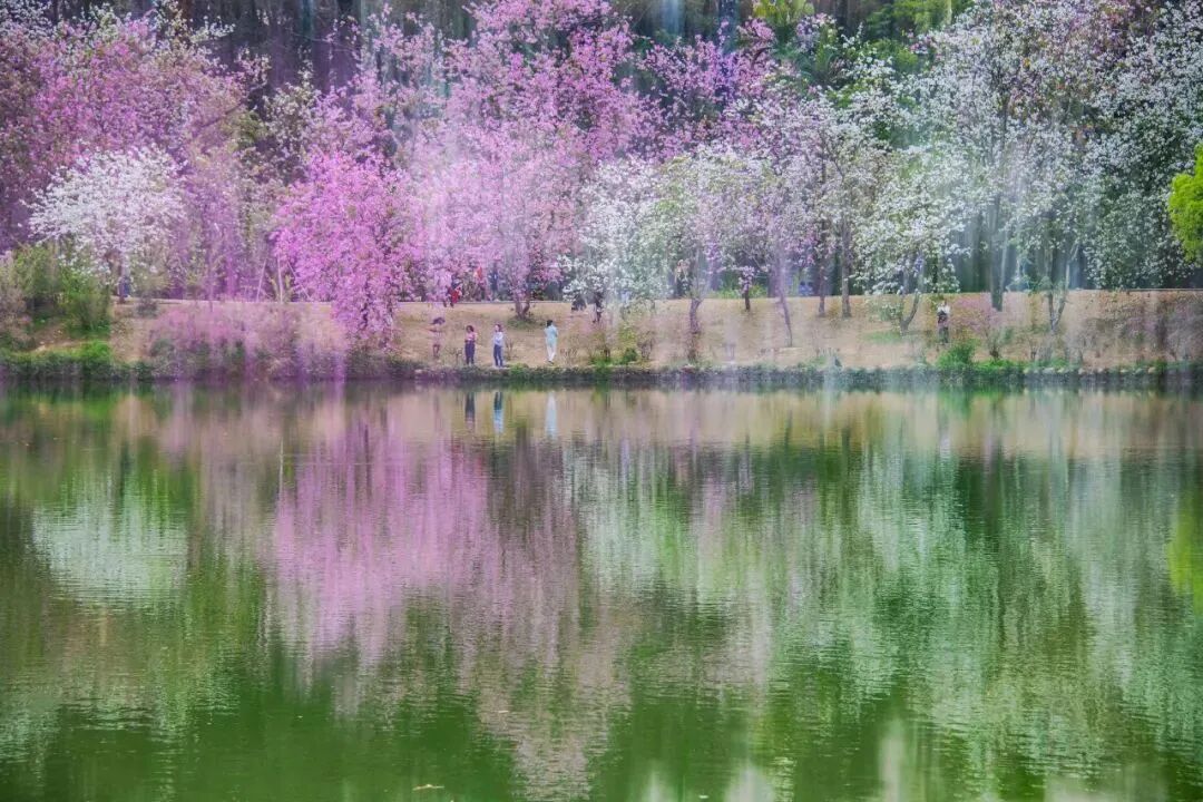 【在广州遇见美好】幸福像花儿一样