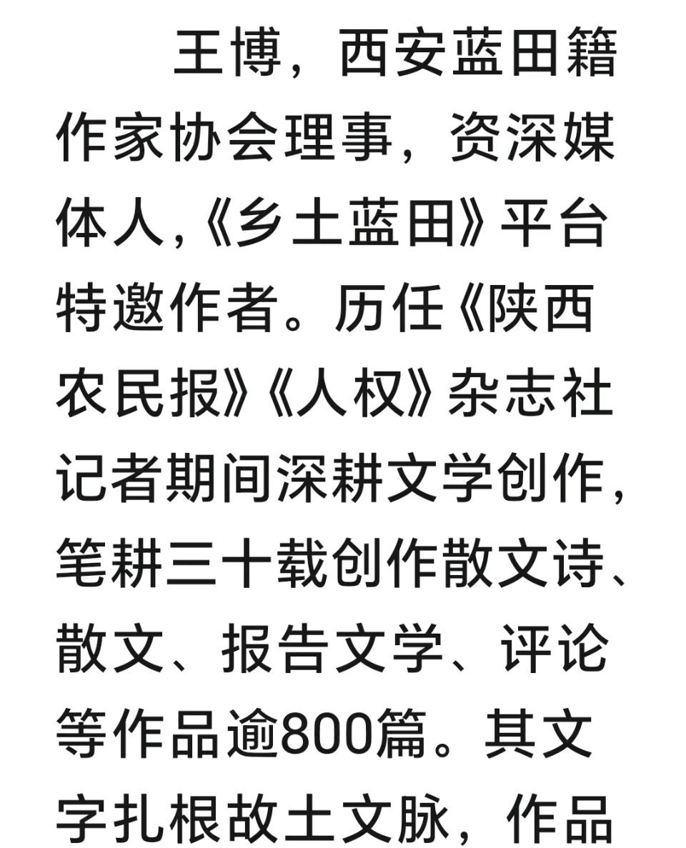 陕西西安作家王博//梦里乾坤大，笔底现实真（图5）