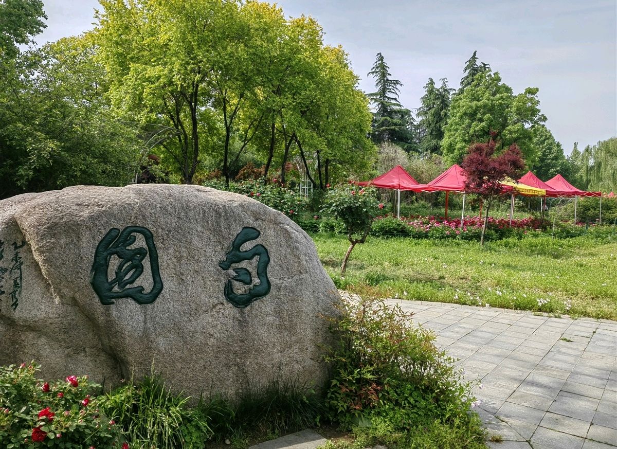 菩萨蛮 . 芍园春日花红艳（二首）文/江冲