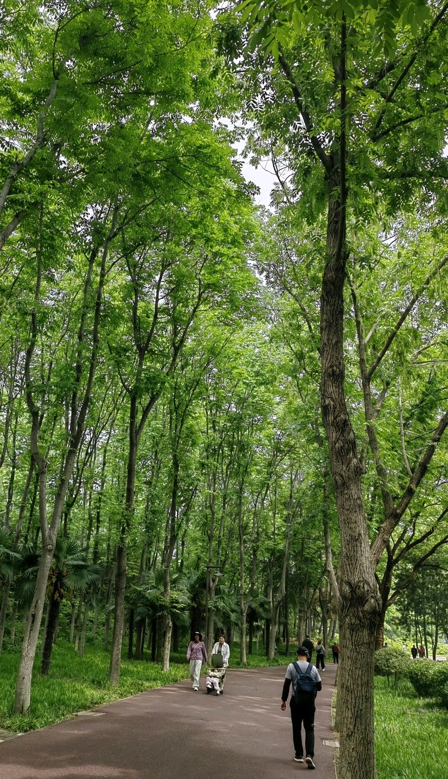 浣溪沙 . 林下闲步（二首）文/江冲（图8）