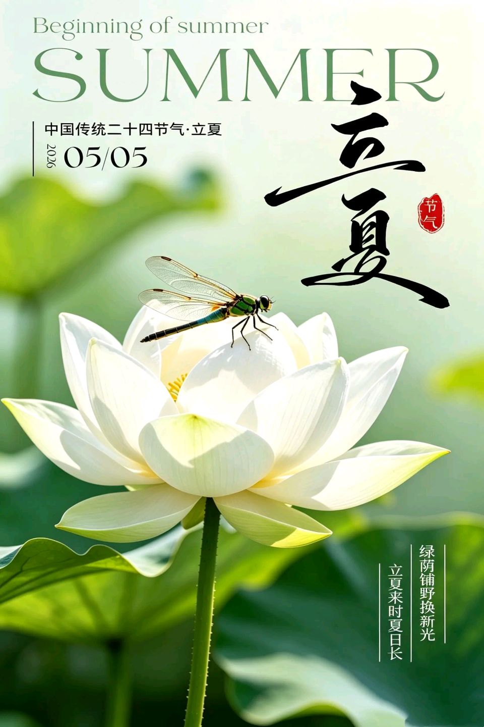 诗词家严宗碧老师精彩立夏诗词与君共赏（图3）