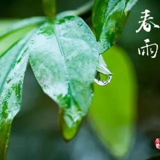 【昊昊海峡新干线副刊】雨 不停地重复感人的故事/細雨霏霏 谁的灵魂在飞（作者：昊昊/中国台湾）……莲叶之珠文学社（图6）