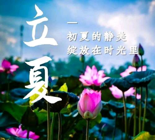 【散文】《立夏: 时序更迭里的文明薪火与时代新声》作者: 强军/陕西宝鸡（图6）