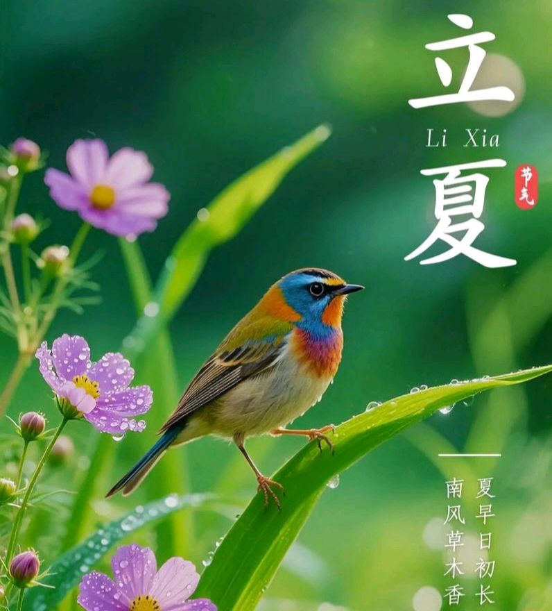【散文】《立夏: 时序更迭里的文明薪火与时代新声》作者: 强军/陕西宝鸡（图7）