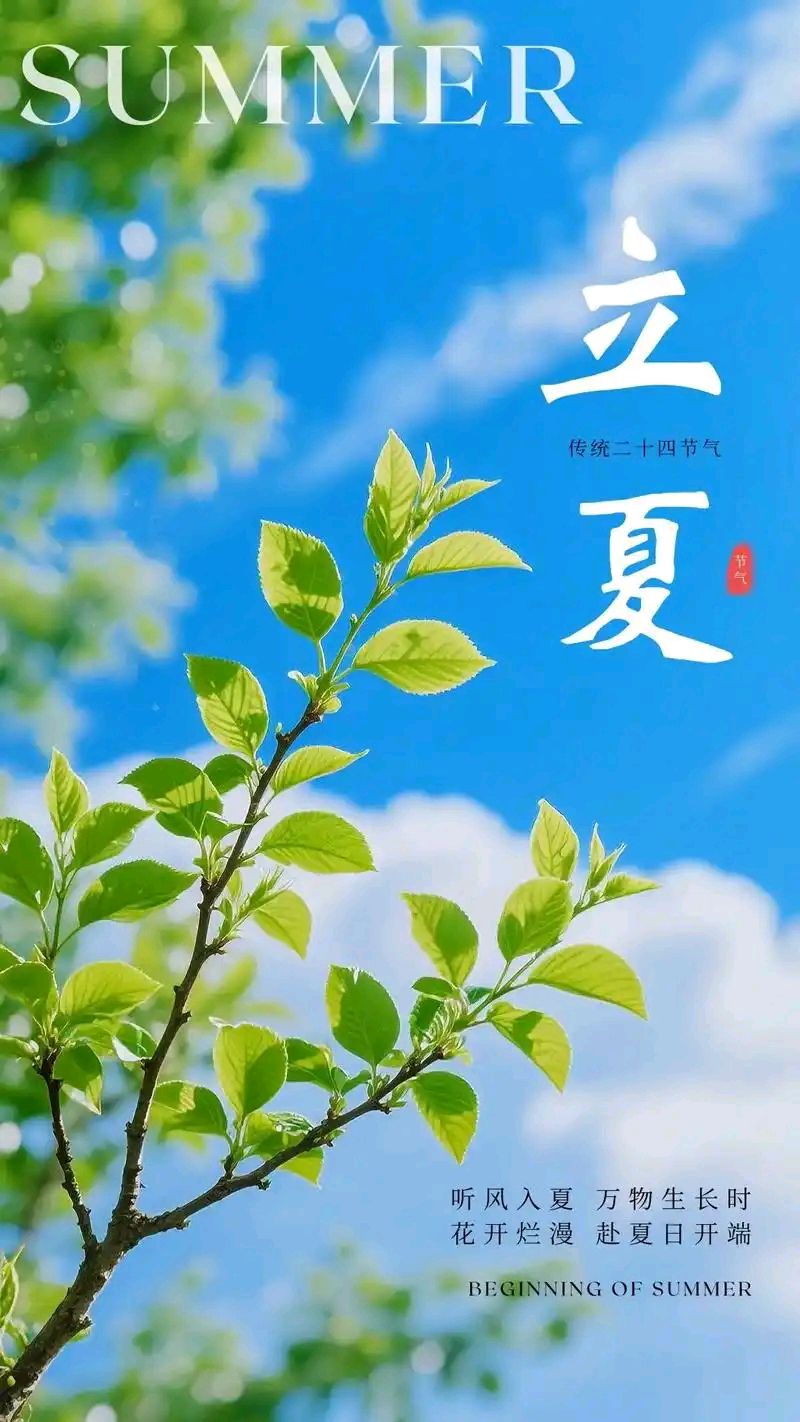 立夏|巴彦诗协【1145】（图3）
