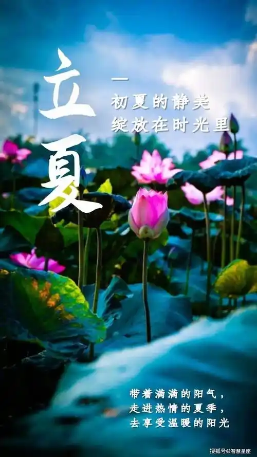 立夏|巴彦诗协【1145】（图7）