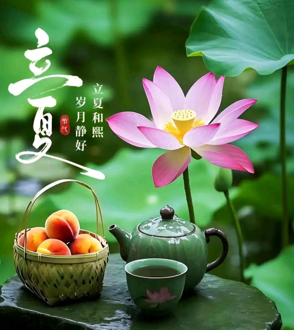 《九江文学社：北京头条》丙午立夏节气专刊（图6）