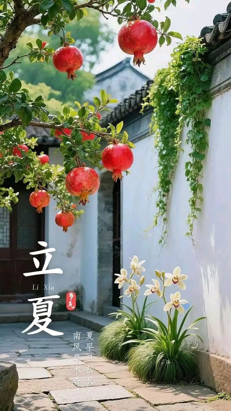 《九江文学社：北京头条》丙午立夏节气专刊（图9）