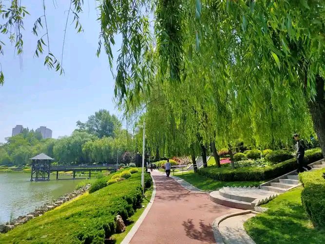 双头莲令·关东初夏 作者:吴耀武（图2）