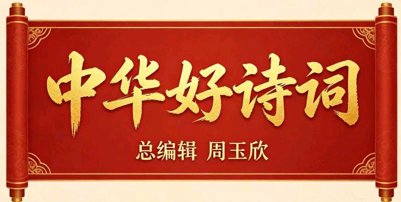 《中华好诗词》隆重推出（河南）优秀演讲家诗人从国峰先生《解锁生命顶级密码：对话身心，光球疗愈，回春永驻》敬请雅鉴（图12）
