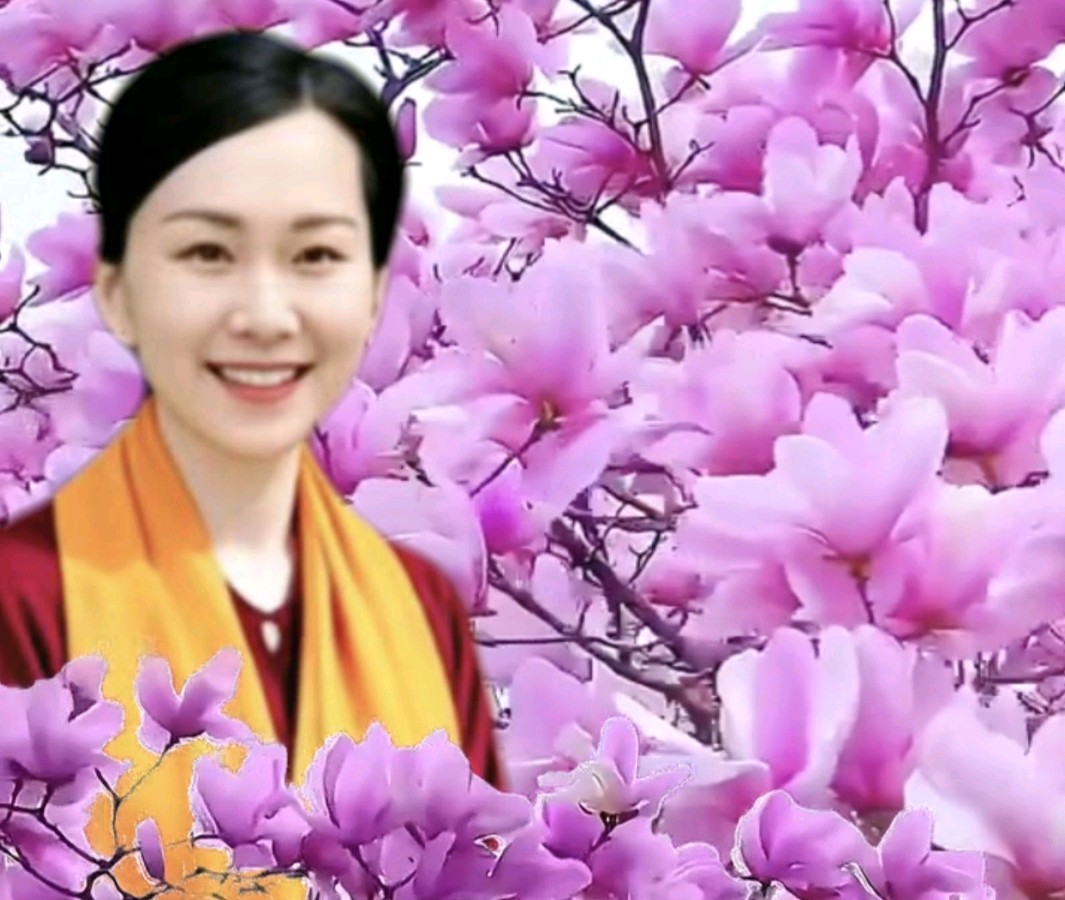 《中华好诗词》隆重推出（河南）优秀演讲家诗人从国峰先生《解锁生命顶级密码：对话身心，光球疗愈，回春永驻》敬请雅鉴（图13）