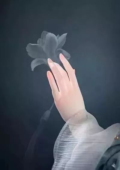 花草(十六)，夏夜的莲（图4）