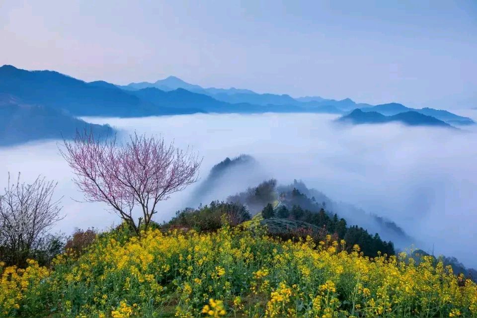 【昊昊海峡新干线副刊】恰似爱 小寒的南方太惊艳/年年亦如此 我仍盼年年（作者：昊昊/中国台湾）……莲叶之珠文学社（图3）