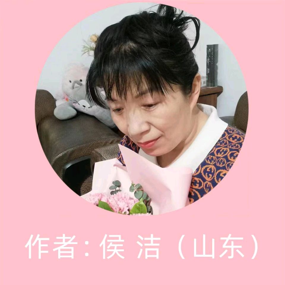 《七律：咏洱海》文/侯洁——山东诗人（图3）