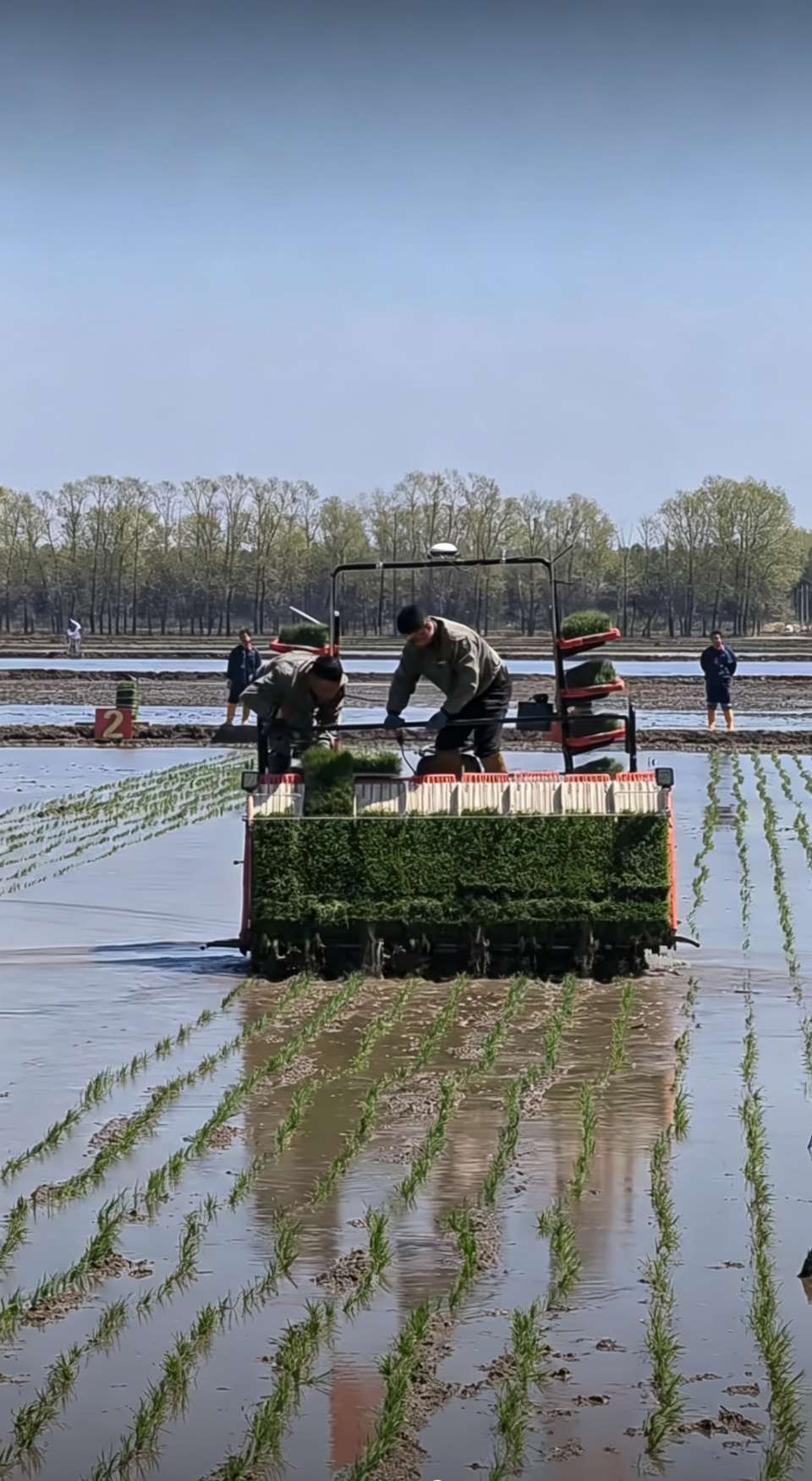 春耕札记