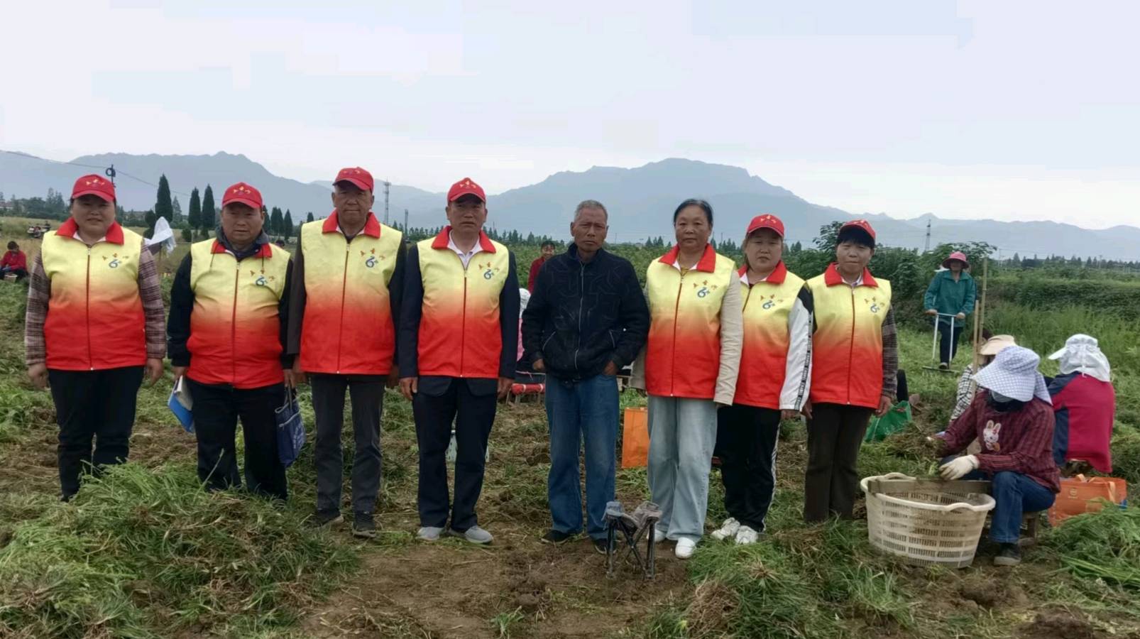 走访麦冬种植户 志愿助力乡村兴